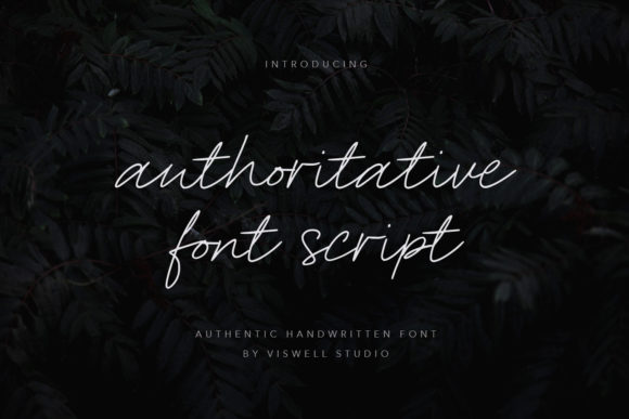 Authoritative: A Graceful Script Font for Digital Branding