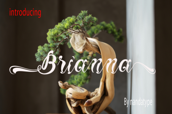 Brianna: A Luxury Script Font That Elevates Your Brand